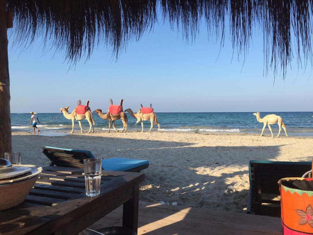 Hotel Djerba Orient Мезрая Экстерьер фото